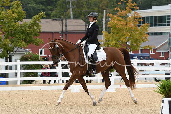HSM_1183