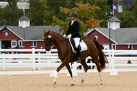HSM_1182