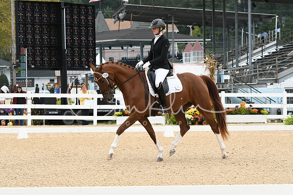 HSM_1195