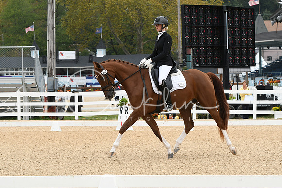 HSM_1196
