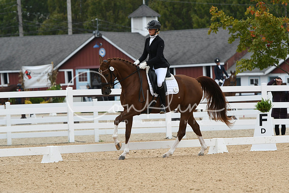 HSM_1219