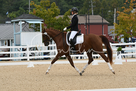 HSM_1227