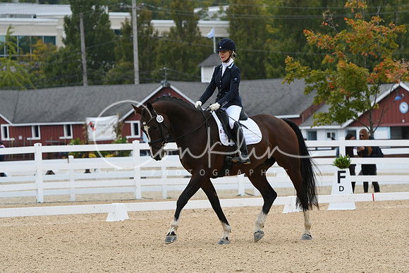 HSM_1241