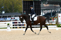 HSM_1246