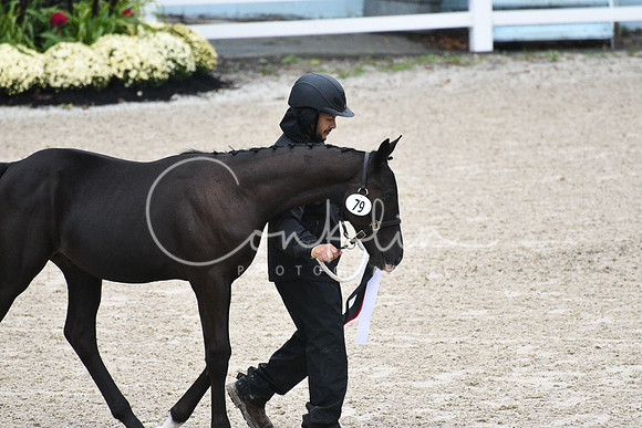 MAK_2110
