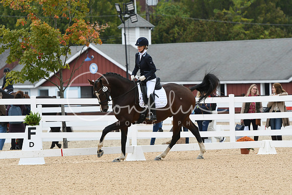 HSM_1281