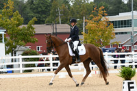 HSM_1301