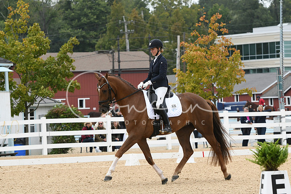 HSM_1301
