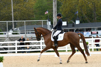 HSM_1305