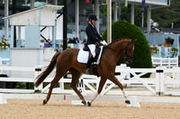 HSM_1306