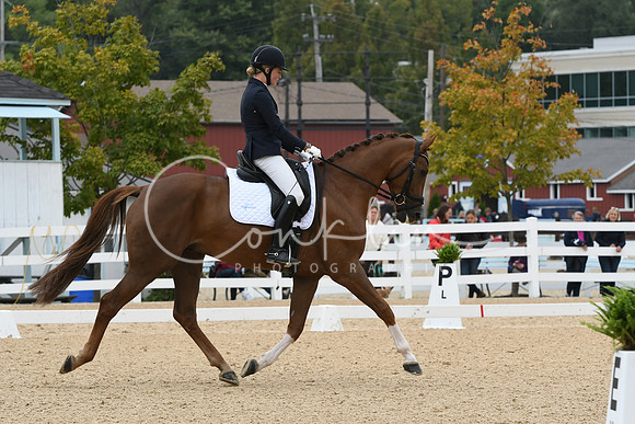 HSM_1328
