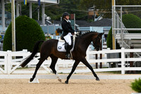 HSM_1523