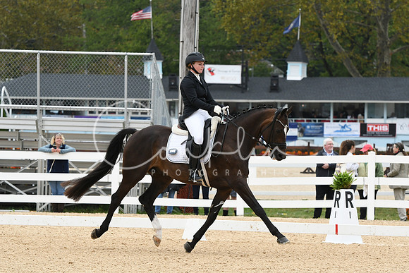 HSM_1531