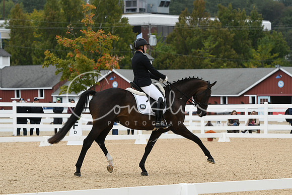 HSM_1537