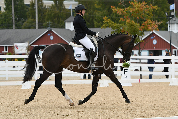 HSM_1552