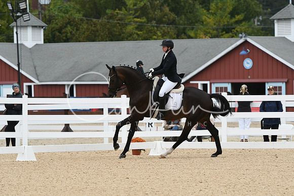 HSM_1553