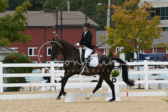 HSM_1555