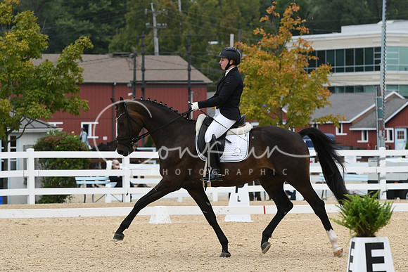 HSM_1558