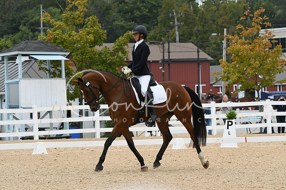 HSM_1379