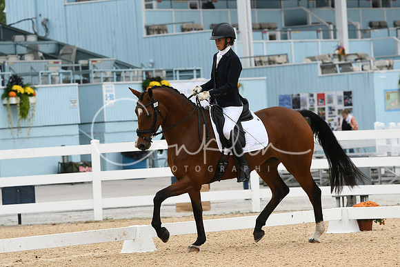 HSM_1403