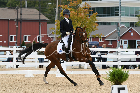 HSM_1409