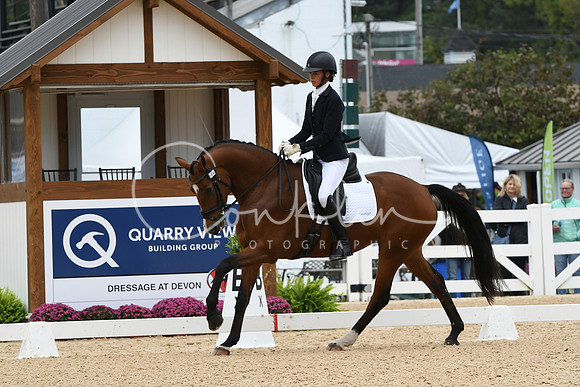 HSM_1419