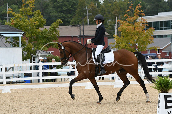 HSM_1428