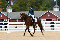 HSM_1458