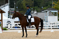 HSM_1461