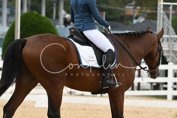 HSM_1507