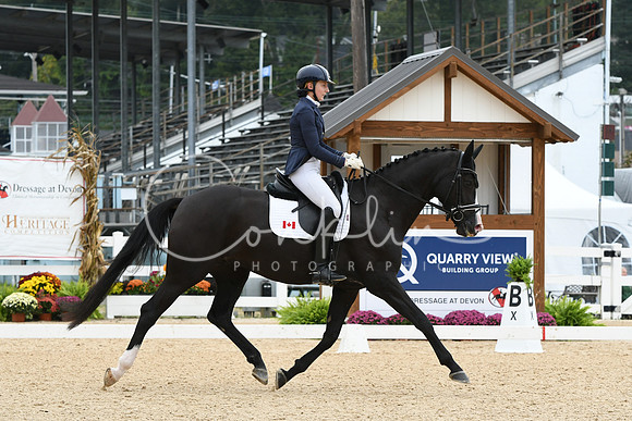 HSM_1596