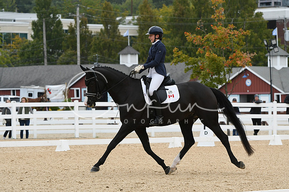 HSM_1619