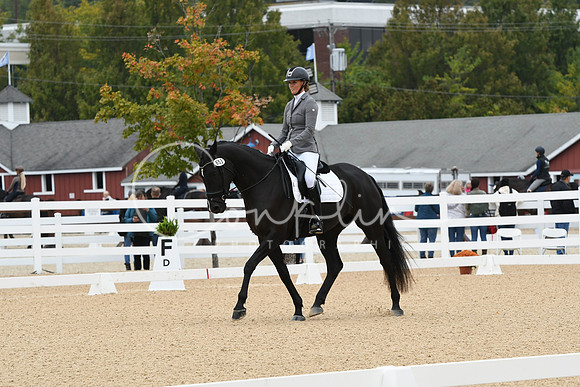 HSM_2103