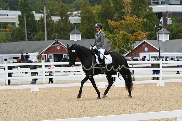 HSM_2104