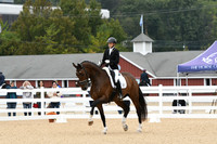 HSM_2115