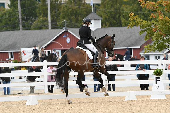 HSM_2155