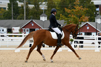 HSM_1806
