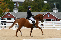 HSM_1807