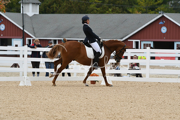 HSM_1833