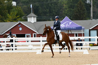 HSM_1666