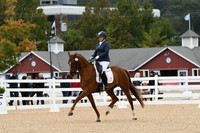 HSM_1667