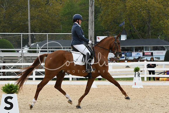 HSM_1689