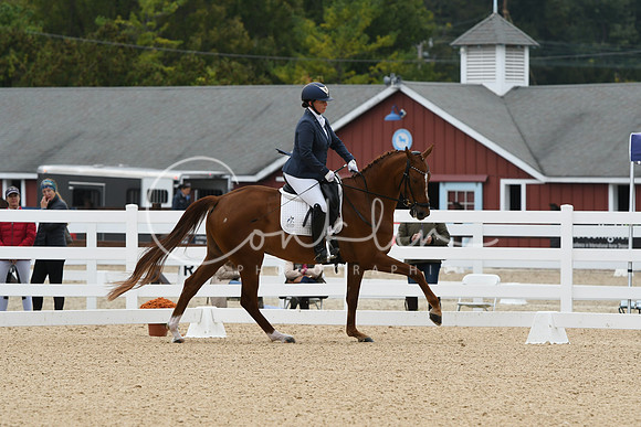 HSM_1701