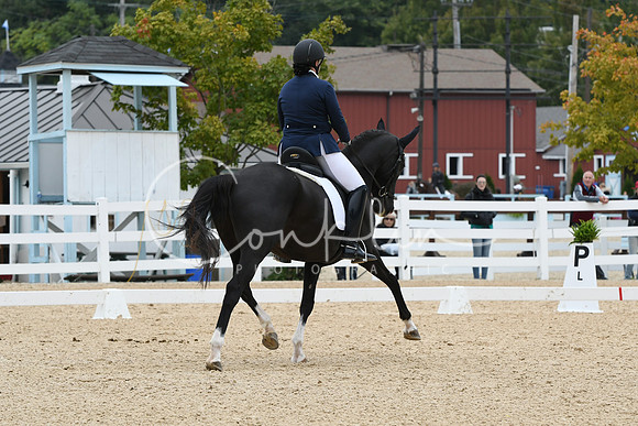 HSM_1761