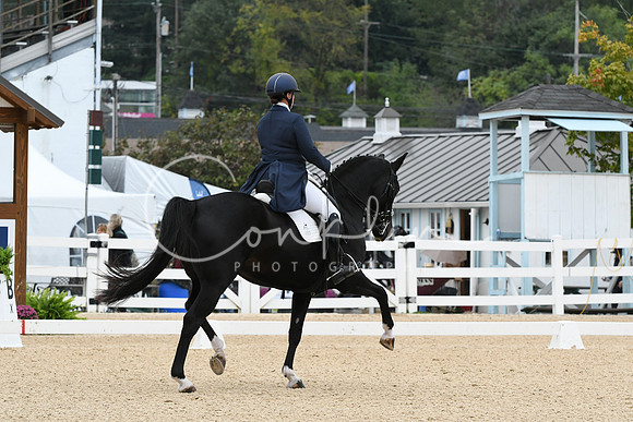 HSM_2195