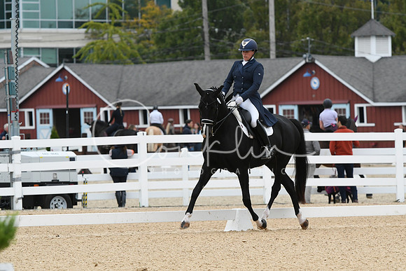 HSM_2213