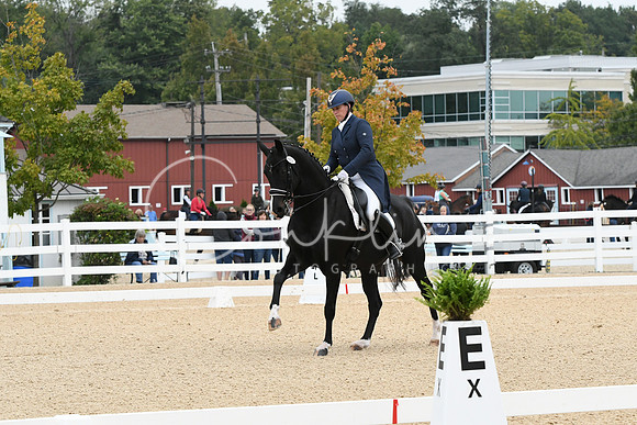 HSM_2239