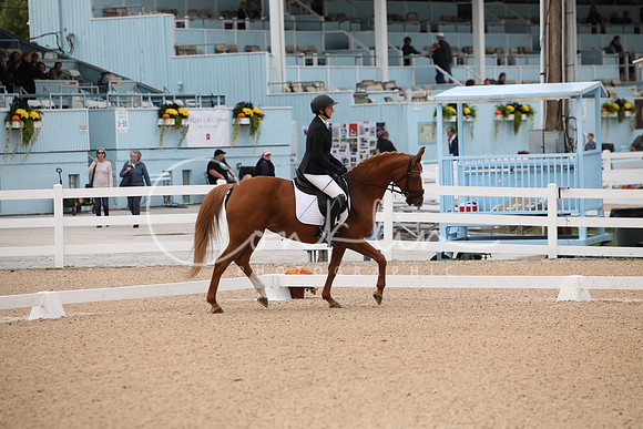 LGW_3911