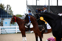 427 USEF Fourth Level Test 3-photos
