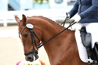 662 - Masterful Dream - 4